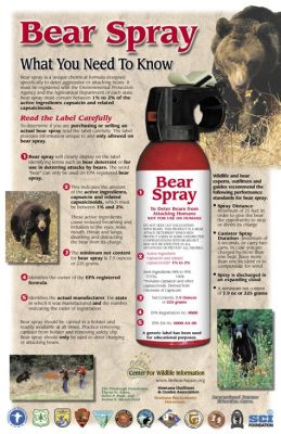 Can You Ship Bear Spray? Exploring the Unlikely Connection Between Wildlife Safety and Online Shopping