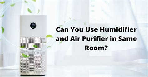 How Much Electricity Does an Air Purifier Use: And Why Do Cats Always Sit on Them?