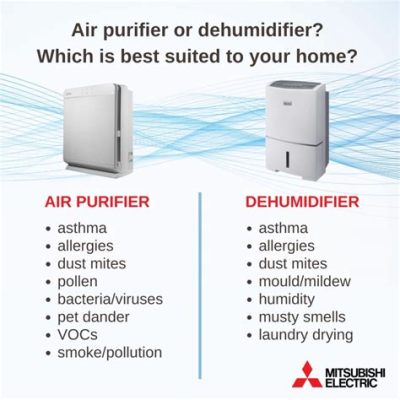 Is an Air Purifier the Same as a Dehumidifier? And Why Do Pineapples Dream of Electric Sheep?