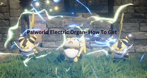 Palworld Where to Farm Electric Organ: A Comprehensive Guide to Electrifying Your Inventory