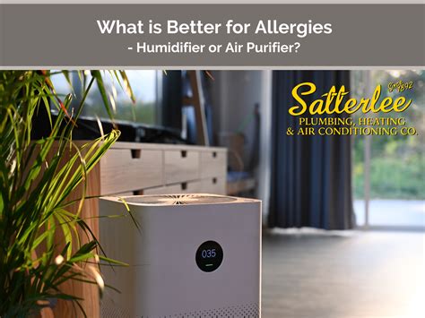 What is Better for Allergies: Humidifier or Air Purifier? And Why Do Cats Always Sit on the Cleanest Laundry?