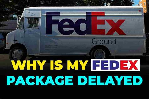 Why Does My FedEx Package Keep Getting Delayed: And Why Do Cats Always Land on Their Feet?